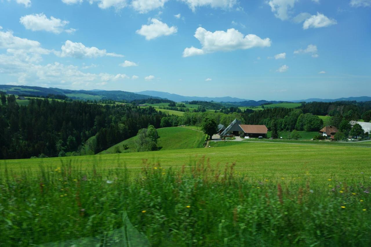 Kurparkhotel Faisst Bad Peterstal-Griesbach Exterior photo