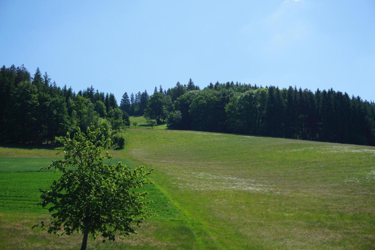 Kurparkhotel Faisst Bad Peterstal-Griesbach Exterior photo